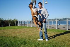 Dog Trainer, Tacoma, WA
